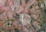 Polished Cobaltoan Calcite Slab - Congo #94965-1